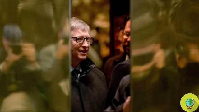 Las peligrosas relaciones entre la Fundación Bill Gates y Monsanto