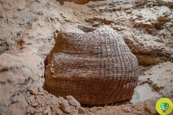 Destacado descubrimiento arqueológico: la cesta tejida más antigua encontrada hasta ahora
