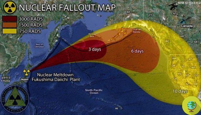 Atún rojo radiactivo en California. culpa de fukushima