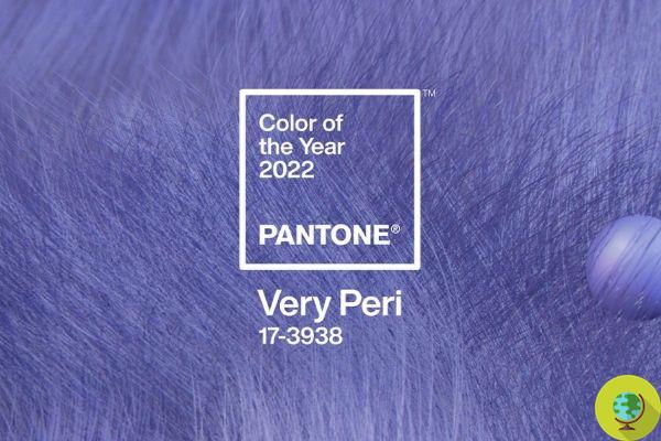 Very Peri est la couleur Pantone de 2022 : elle est l'emblème de notre époque et nous donne du courage
