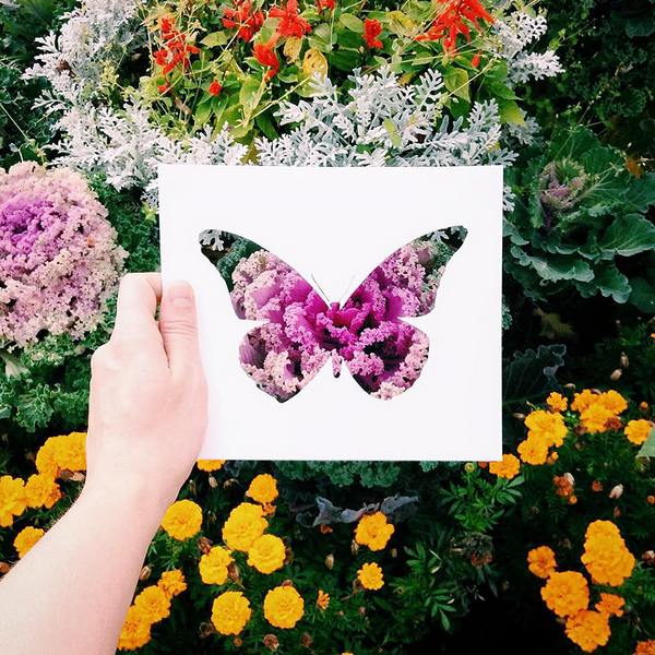 O artista que colore as silhuetas dos animais com folhas de outono (e não só)