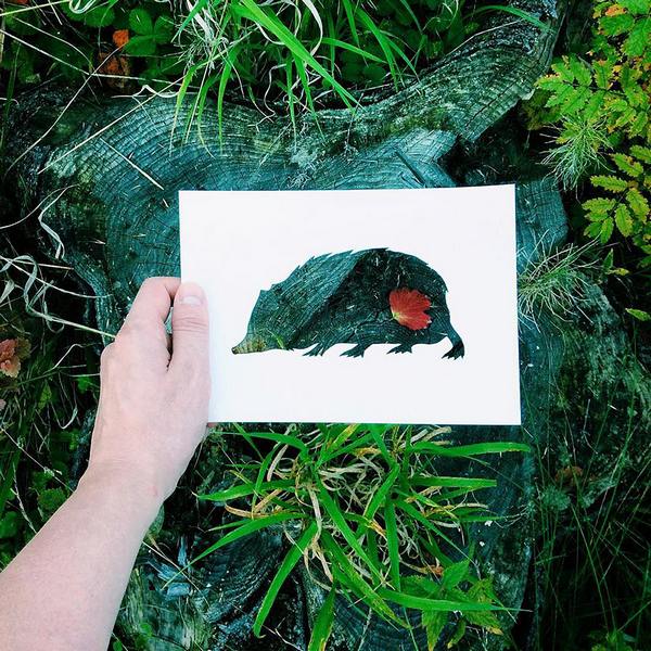 The artist who colors the silhouettes of animals with autumn leaves (and not only)