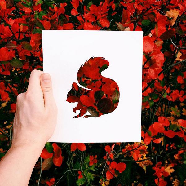 El artista que colorea las siluetas de animales con hojas de otoño (y no solo)