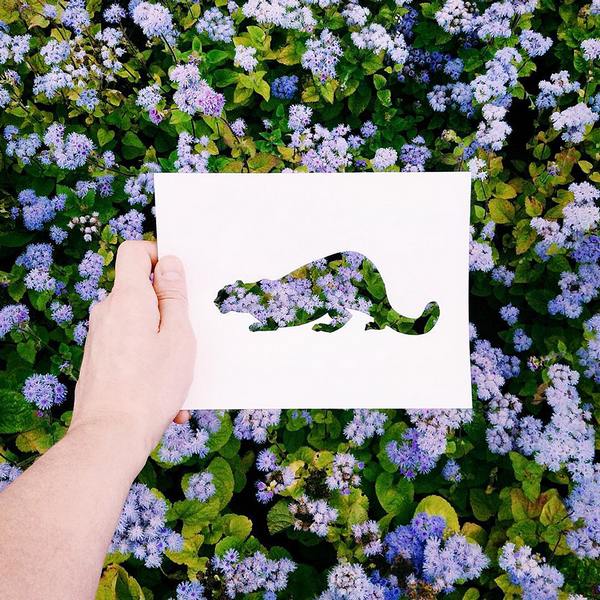 L'artiste qui colore les silhouettes d'animaux avec des feuilles d'automne (et pas que)