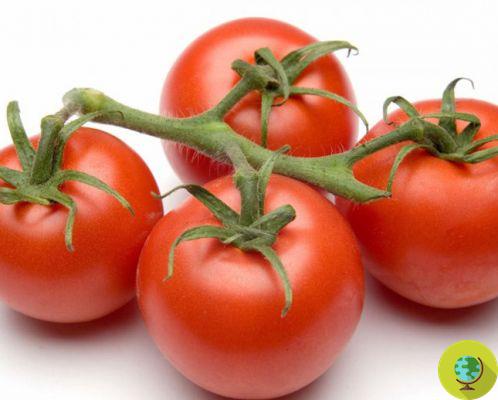 Tomatoes: 10 ways to use it as a beauty remedy