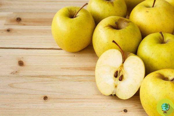 Apples: 5 good reasons to eat them with the peel