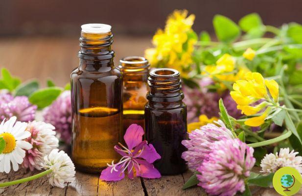 Essential oils: 20 possible uses for beauty, home and health