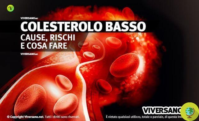 Good cholesterol, beware! If it's high (or too low) it hurts. Values ​​at risk