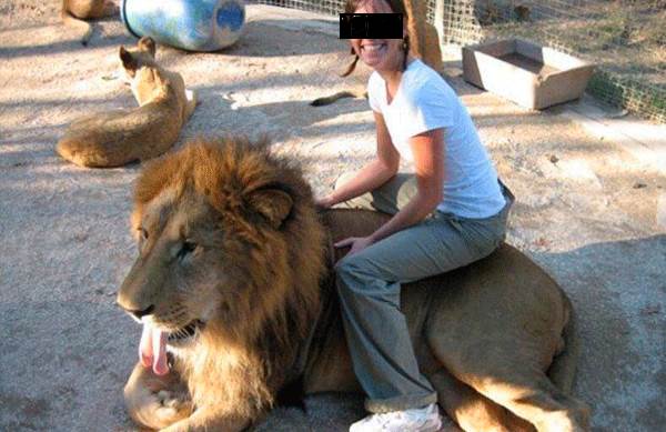 Las impactantes imágenes de los animales siendo drogados en el zoológico para tomarse una selfie con los visitantes (PETICIÓN)