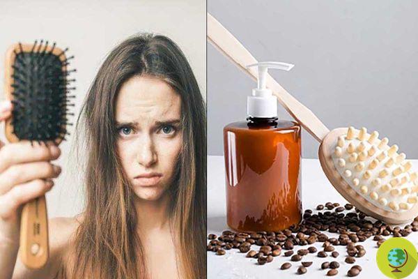 Shampoing anti-chute à la caféine : agissent-ils vraiment contre la chute des cheveux ?