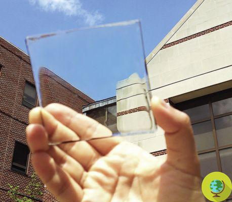 Energía fotovoltaica transparente: Sharp lanza See-trough, paneles solares en lugar de ventanas