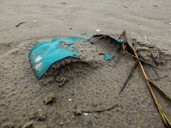 Resíduos plásticos chegam ao Ártico: vida marinha na Groenlândia em risco