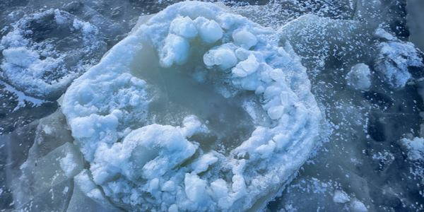 Pancake ice : le phénomène évocateur et rare des nénuphars de glace (PHOTO)