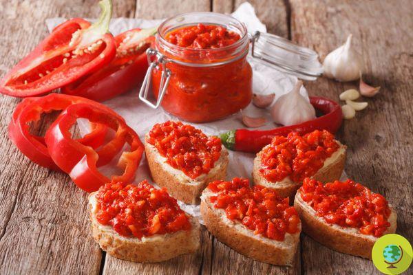 Pepper sauce: the easy and perfect recipe, to enjoy the summer all year round on pasta and bread