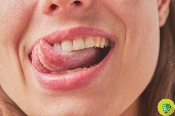 ¿Sabías que nuestra lengua percibe los olores incluso antes que la nariz?
