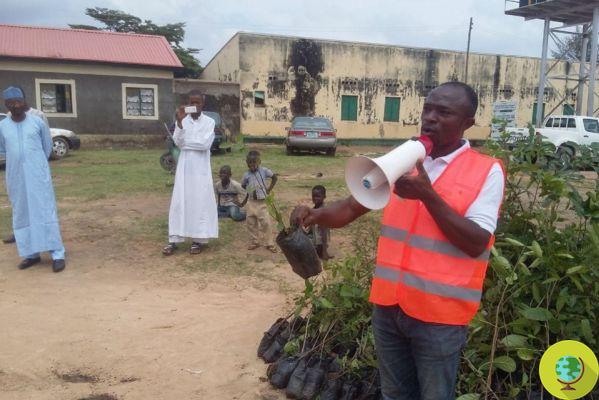 El empresario camerunés que plantará mil millones de árboles para crear empleo