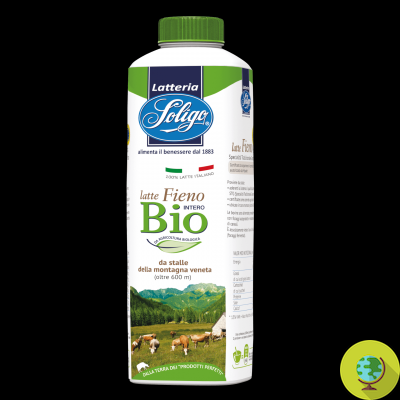 Organic milk richer in Omega 3 than traditional milk