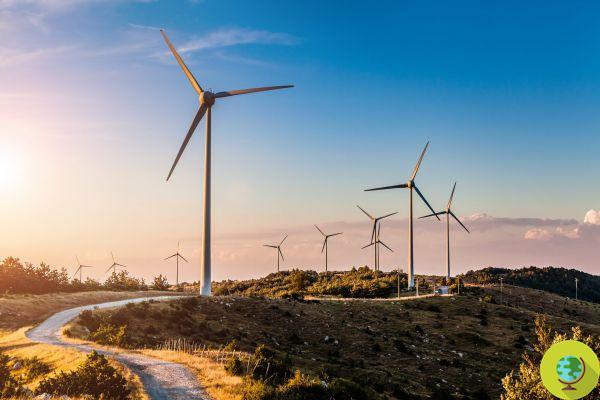 Climate change: wind farms raise the temperature