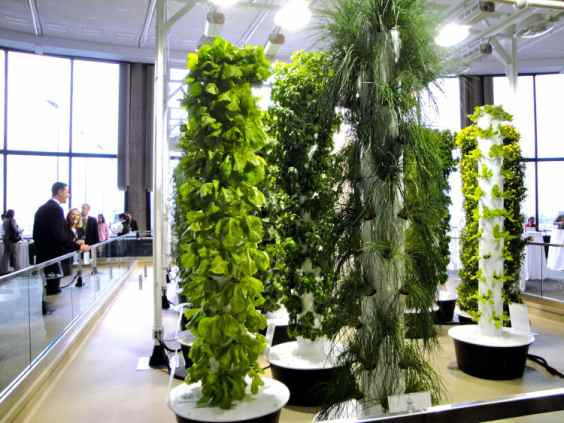 Jardins urbains à l'aéroport : à Chicago, on fait pousser des légumes bio en attendant le vol