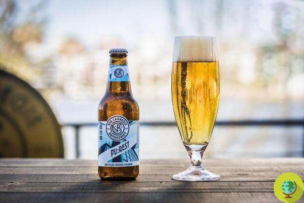 The first Swedish beer created by purifying waste water