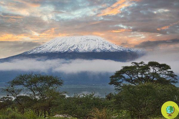 Del Kilimanjaro al Monte Kenia, los últimos glaciares de África desaparecerán en 20 años