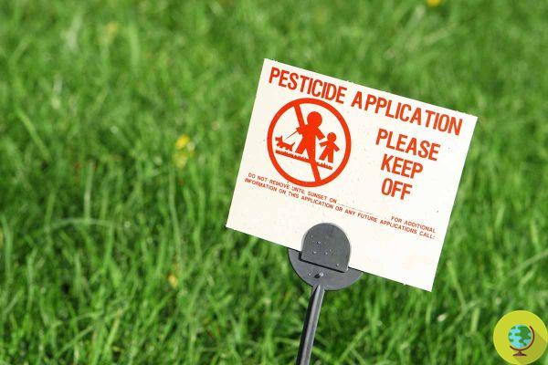 Francia quiere una prohibición de pesticidas en la UE. Pero olvídate del glifosato