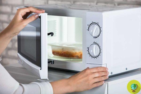 ¿Es peligroso calentar o calentar alimentos en el microondas? 5 mitos a disipar