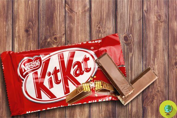 Chega de salários mínimos garantidos e trabalho ético para produzir o Kit Kat, Nestlè abandona o Comércio Justo