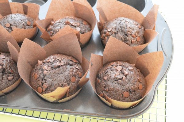 Chocolate muffins: 10 recipes for all tastes