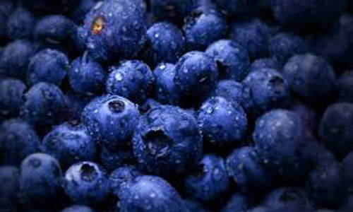 Foods that increase memory and concentration