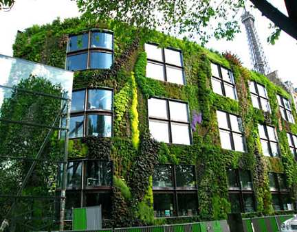 Patrick Blanck: the man who invented vertical gardens