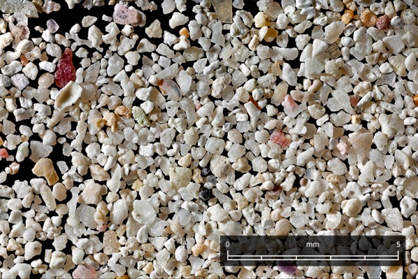 The wonderful images of the grains of sand seen under the microscope (PHOTO)