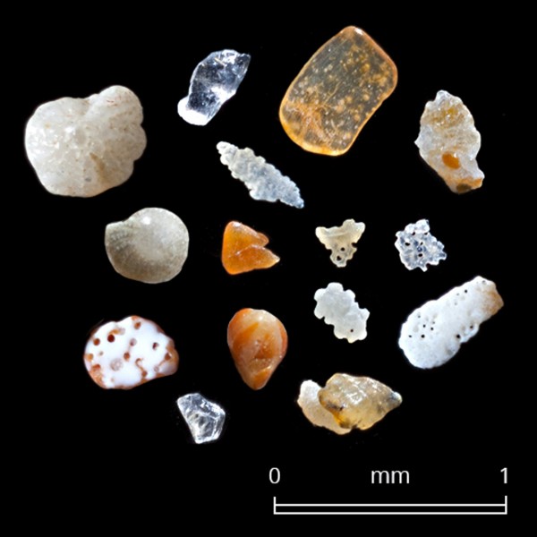 As maravilhosas imagens dos grãos de areia vistos ao microscópio (FOTO)