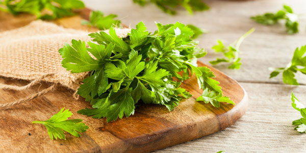 5 aromatic herbs that help you lose weight