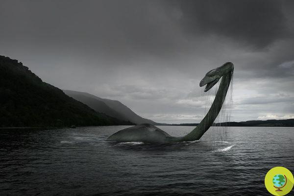 Descobriu o mistério do Monstro do Lago Ness analisando o DNA das águas do lago