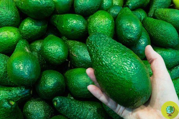 Pesticidas: estas são as 15 frutas e vegetais menos contaminados de 2022