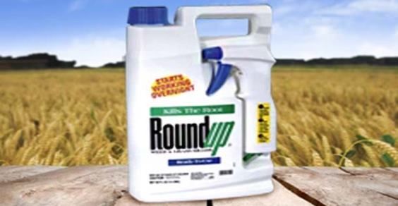 Roundup Monsanto: 5 more reasons to ban glyphosate