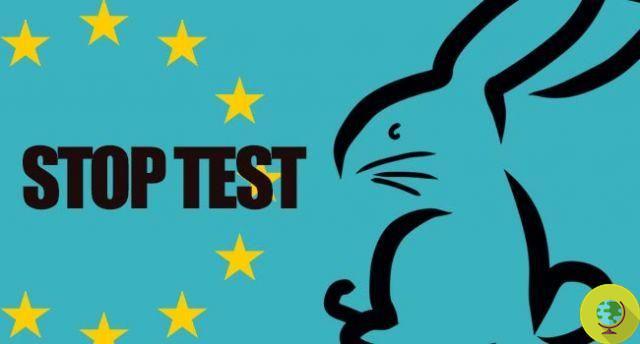 Cosmetic tests on animals: from today stop throughout Europe