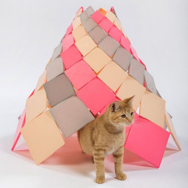 Les fantastiques abris conçus par des architectes pour venir en aide aux chats abandonnés (PHOTO)
