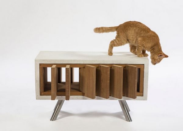 Los fantásticos refugios diseñados por arquitectos para ayudar a los gatos abandonados (FOTO)