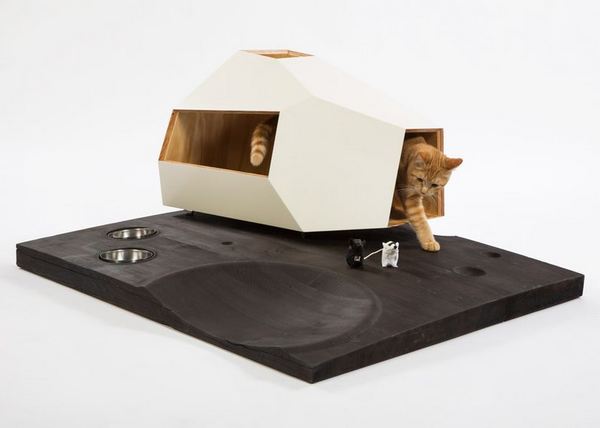 The fantastic shelters designed by architects to help abandoned cats (PHOTO)