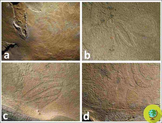 Descubiertas las figuras de roca más grandes jamás conocidas, tienen más de 1000 años