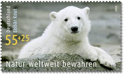 Knut, o urso mais amado pelas crianças do zoológico de Berlim, morreu
