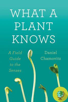 Plants also see, hear and smell