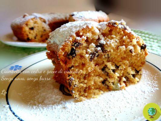 Vegan desserts: candied citron muffins