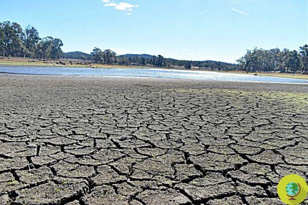 A barragem é entregue a empresas chinesas de água engarrafada e a cidade australiana seca