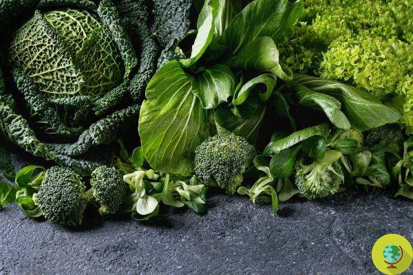 Dieta para la hipertensión: la verdura que debes comer todos los días para bajar la presión arterial