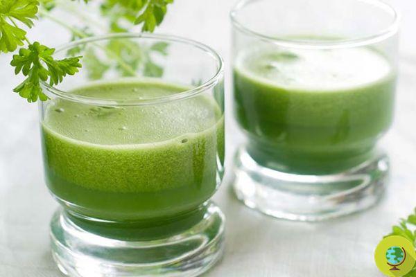 Parsley Juice: 5 Health Benefits and Uses 