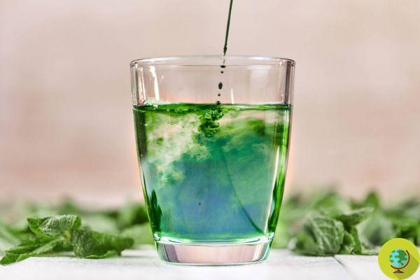 TikTok's craze for chlorophyll water is a little bogus: what to eat to really consume the superfood