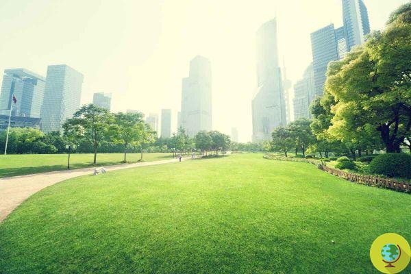 Vivre près d'un parc peut sauver des vies - c'est pourquoi nous devrions demander plus d'espaces verts dans la ville
